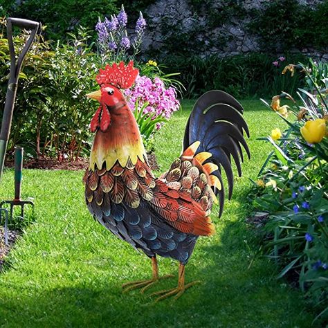 Amazon.com: chisheen Rooster Decor Garden Statue Metal Chicken Yard Art Sculpture Outdoor Figurines : Patio, Lawn & Garden Metal Rooster Decor, Chicken Yard Art, Chicken Yard, Rooster Garden, Rooster Statue, Sculpture Outdoor, Metal Rooster, Metal Chicken, Chicken Garden