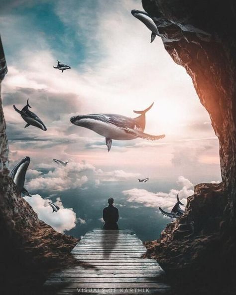 Surreal Photoshop, Photoshop Design Ideas, Surreal Photos, Whale Art, Inspiring Photography, Photoshop Painting, Surrealism Photography, Matte Painting, Photoshop Art