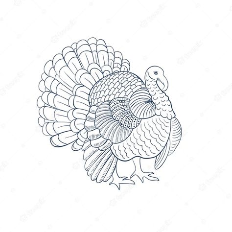 Turkey Sketch Easy, Turkey Outline, Wolf Outline, Bee Outline, Turtle Outline, Owl Outline, Turkey Drawing, Horse Outline, Bird Outline