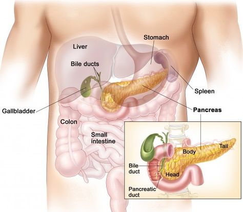 Hepatobiliary diseases involve liver diseases and biliary diseases.  It is mainly caused by viral, parasitic infections, alcohol consumption, poor nutrition and lots more. Read on! Bile Duct, Types Of Cancers, The Human Body, Anatomy, Disease, Human Body, Yoga, Human