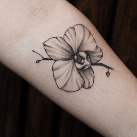 Ascension Tattoo (tm) Orlando on Instagram: “Orchid lower by Gibbs @gibbs_tattoo ... ... If your looking for some delicate minimalist tattoos and black and gray realism tattoos- hit…” Orchid Tattoo Men, Black Orchid Tattoo, Ascension Tattoo, Tattoo Black Grey, Boxing Tattoos, Realism Tattoos, Orchid Tattoo, Minimalist Tattoos, Some Body