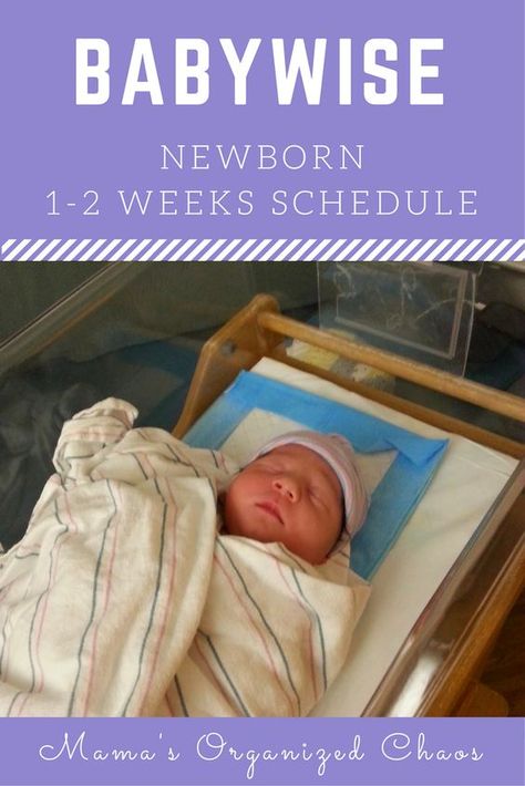 Babywise Schedule Newborns, Babywise Schedule, Baby Wise, Newborn Schedule, Toddler Schedule, Baby Schedule, Baby Kicking, Baby Sleep Problems, Organized Chaos