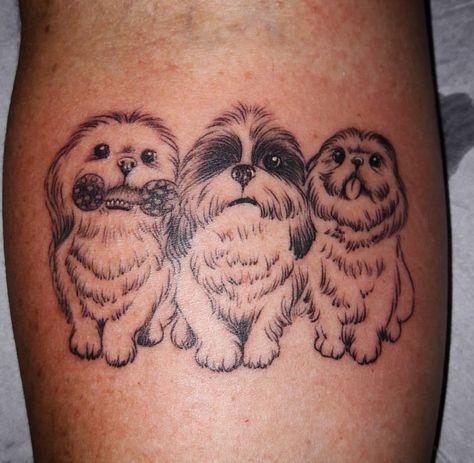 19 Shih Tzu Dog Tattoo Ideas Pretty Tattoo Ideas, Dog Tattoo Ideas, Pretty Tattoo, Dog Memorial Tattoos, Dog Outline, Cutest Puppy Ever, Outline Tattoo, Petite Tattoos, Very Cute Dogs