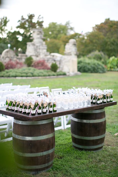 Wedding Ceremony Drink Station, Drinks At Wedding, Reception Chandelier, Wedding Drinks Reception, Pink And Green Wedding, Wedding Drink Station, Rustic Glam Wedding, Wedding Ceremony Photography, Green Wedding Ideas