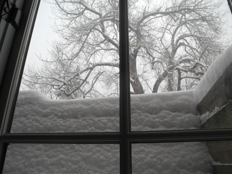 Snowy Winter Aesthetic, Seattle Apartment, I Love Winter, Dont Leave Me, Snowy Winter, Winter Magic, Snowy Day, The Secret History, Its Cold Outside