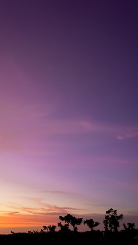 #sky #purple #sunset #wallpaper #siluet #beach #calm Purple Sunset Wallpaper, Plain Purple Wallpapers, Night World, Sky Purple, Purple Sunset, Purple Sky, Sunset Wallpaper, Phone Stuff, Purple Wallpaper