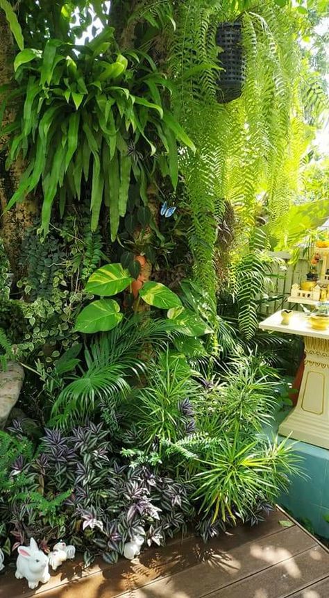 Small Tropical Backyard, Tropical Garden Plants, Tropical Backyard Landscaping, Small Tropical Gardens, Balinese Garden, Tropical Landscape Design, Tropical Garden Design, Jungle Gardens, Tropical Backyard