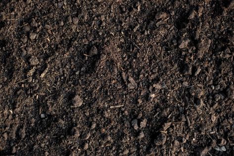 Soil Aesthetic, Land Texture, Loam Soil, Texture Nature, Plant Texture, Soil Texture, Cars Jeep, Photo Pattern, Pattern Texture