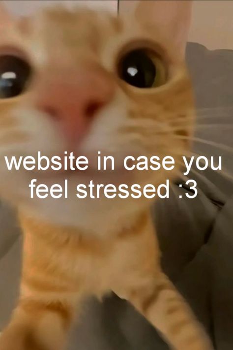 If you need to de-stress, you can use this page :)   If you are having a lot of problems with stress or anxiety or similar I recommend you go to a professional. Your mental health is important! You are important. Things To Calm Your Mind, Things To Do For Yourself Happiness, I Have A Problem, Click If Your Stressed, How To Get Around Screen Time, Things U Need To Hear, Things To Do When You Feel Down, How To Stop Stressing, Fun Things To Do By Yourself At Home