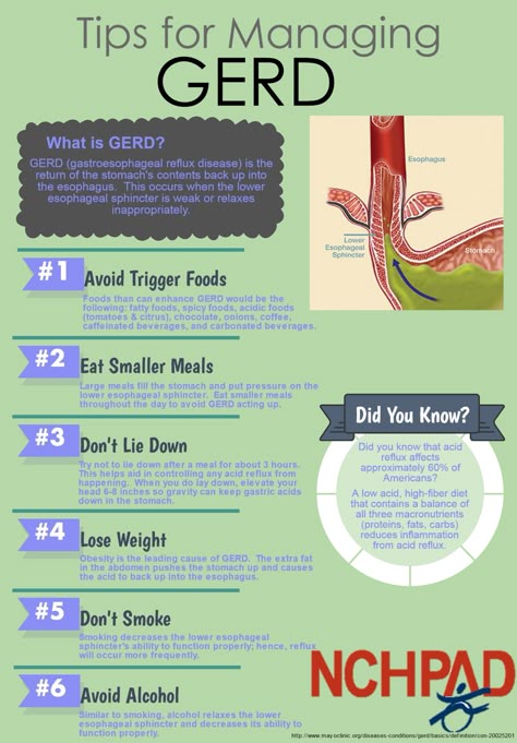 GERD Awareness Week : NCHPAD - Building Healthy Inclusive Communities Barrets Esophagus Diet, Gerds Diet, Barrets Esophagus, Gerd Meal Plan, Gerd Meals, Acid Reflux Diet Plan, Reflux Diet Recipes, Gerd Diet Plan, Gerd Diet Recipes