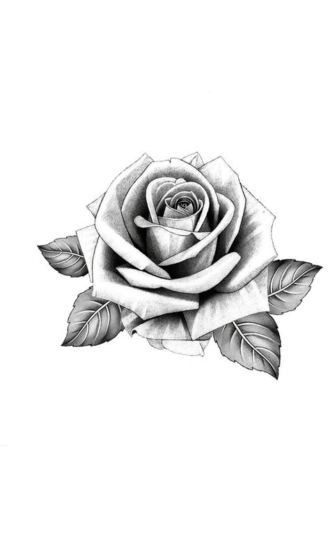 Dove And Rose Tattoo, Cool Animal Tattoos, Anklet Tattoos For Women, Rose Tattoo Stencil, Hip Tattoo Designs, White Rose Tattoos, Realistic Rose Tattoo, Rose Flower Tattoos, Rose Drawing Tattoo