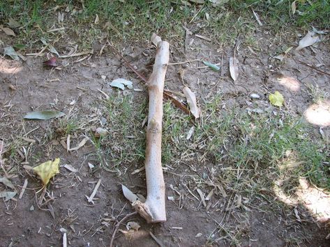 How to Make an Atlatl : 12 Steps - Instructables Homemade Slingshot, Spear Thrower, Make A Bow, Bow Arrows, Natural Curves, Nature Crafts, Survival Skills, Pyrography, How To Make Bows