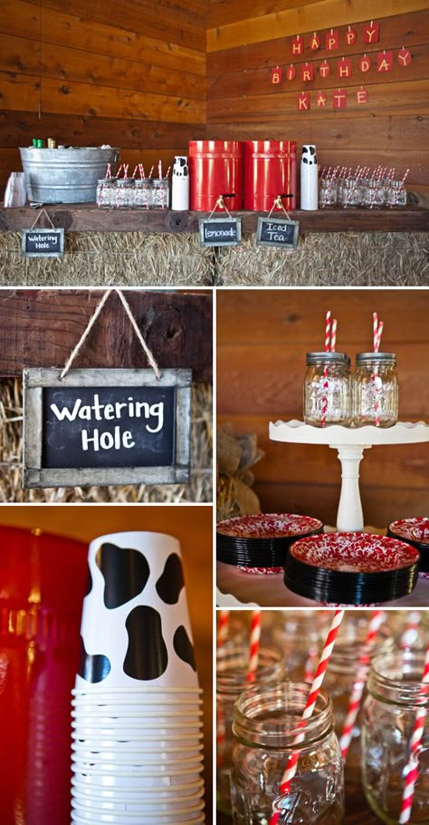 Barnyard Birthday Party, 60th Bday, Farm Theme Birthday, Country Birthday, Cowboy Baby Shower, Cowboy Birthday Party, Barn Parties, Barnyard Party, Cow Birthday