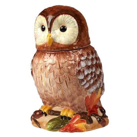 Forest Owl, Owl Cookie Jar, Owl Cookies, 3d Cookie, Susan Winget, Bunny Cookies, Sugar Jar, Storing Cookies, Ice Cream Bowl