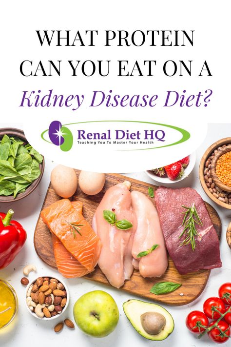 Following a kidney disease diet for chronic kidney disease (CKD)? Whether or not you're a vegetarian, it's important to know which type of protein you should eat versus avoid on the renal diet.  Learn about kidney disease diet food and restrictions here! | Renal Diet Protein | Renal Diet Food List Renal Diet Food List, Renal Diet Menu, Ckd Diet, Kidney Healthy Foods, Kidney Diet Recipes, Kidney Friendly Recipes Renal Diet, Healthy Kidney Diet, Renal Diet Recipes, Kidney Friendly Foods