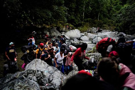 Insight: For migrants, the Darién Gap is hell; for adventure tourists, it's a magnet Darien National Park, Thrill Seeking, Darien Gap, Adventure Tourism, Rare Orchids, Sustainable Tourism, Panama City Panama, Gap, World Heritage Sites