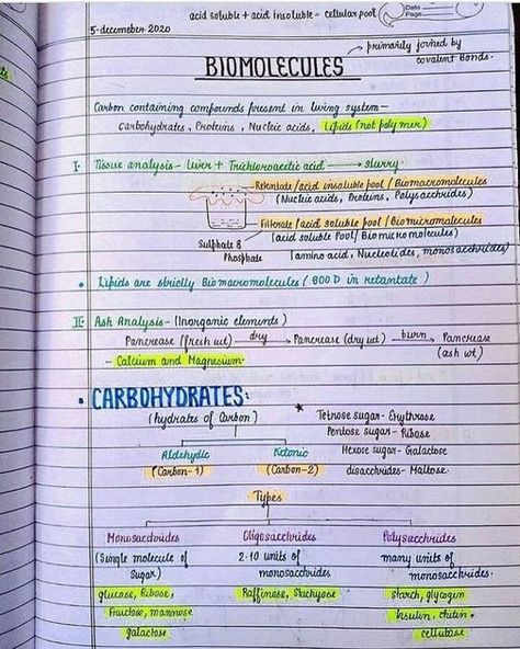 Class 11 Biomolecules Notes, Class 12 Biology Notes Chapter 1, Mole Concept Formula Sheet Class 11, Biomolecules Notes Biology Class 11 Neet, Biomolecules Notes Chemistry, Biomolecules Notes Biology Class 11, Biodiversity And Conservation Notes, Bio Flashcards, Biomolecules Notes Biology