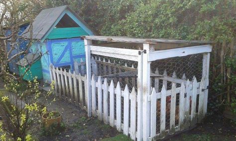 Picket Fencing, Chicken Ideas, Chicken Run, White Picket Fence, Chicken Runs, Chicken Coops, Picket Fence, Small Animals, Chicken Coop