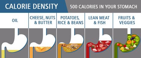 Different foods satiate you differently. Calorie Density Chart, Calorie Density, Nutrition 101, Most Effective Diet, Plant Based Whole Foods, Low Carb Diet Plan, Diet Plans For Women, Concept Diagram, Start Losing Weight