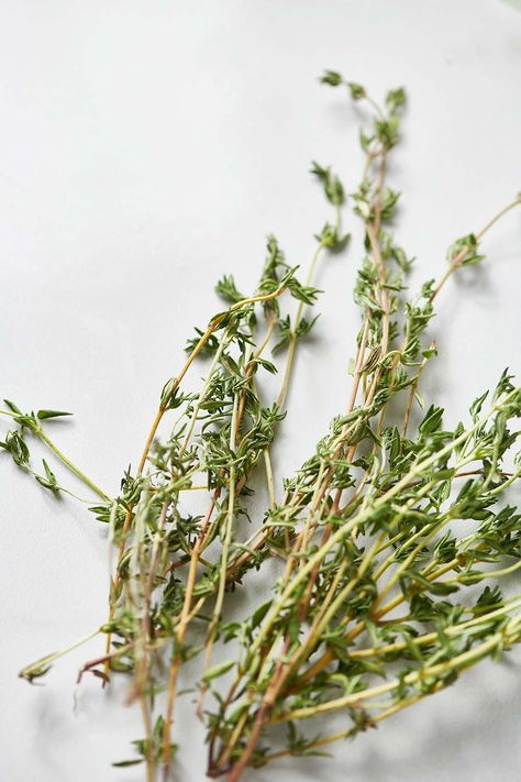 How to Cook with Thyme / Here's everything you need to know about how to buy, store, prepare, and cook with fresh thyme. Plus 10 fresh thyme recipes. #howto #kitchenhacks #cookingtips #familyfriendly #basiccooking #beginnercooks How To Use Fresh Thyme, Fresh Thyme Recipes, Thyme Uses, Recipes Meatloaf, Fresh Herb Recipes, Herbs Recipes, Thymus Vulgaris, Thyme Recipes, How To Make Lasagna