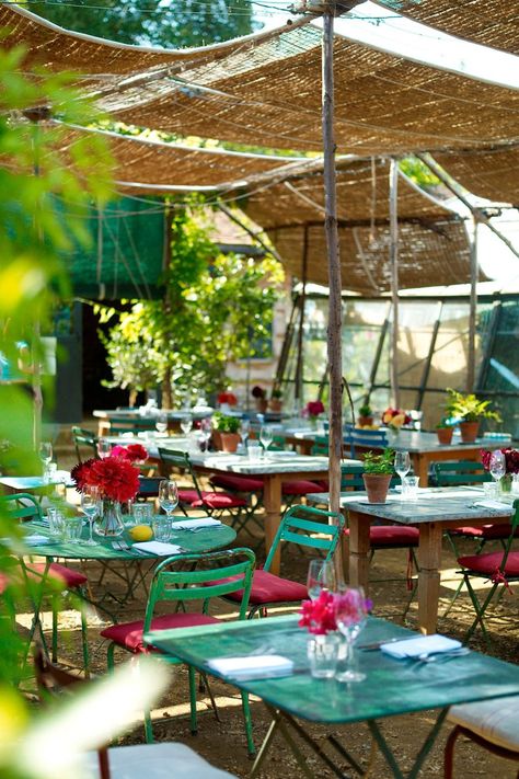 Petersham Nurseries, Cafe Interiors, Outdoor Restaurant Design, Chelsea Garden, Garden Restaurant, Restaurant Patio, Marble Columns, Outdoor Cafe, Garden Cafe