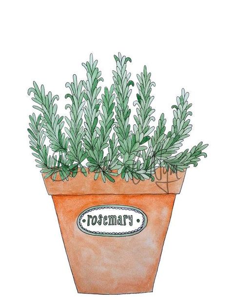 Embroidery Reference, Rosemary Plant, Terracotta Pot, Doodle Coloring, Nature Wall, Nature Wall Art, Terracotta Pots, Kitchen Wall Decor, Embroidery Tutorials