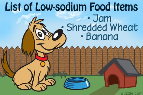 Low-sodium Dog Food Recipes You'll Want to Try Right Now - Pet Ponder Low Sodium Dog Treats, Sodium Foods, Dog Cookie Recipes, Homemade Dog Cookies, No Sodium Foods, Your Adorable, Low Sodium Recipes, Good Dog, Dog Cookies