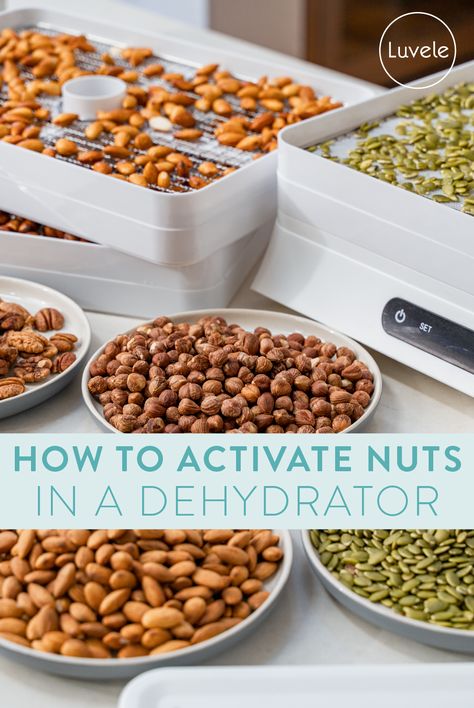 How to activate nuts in a dehydrator - Luvele US Corn Nuts Recipe, Luvele Recipes, Healing Gut, Corn Nut, How To Make Corn, Food Dehydrators, Raw Nuts, Nut Recipes, Butter Spread