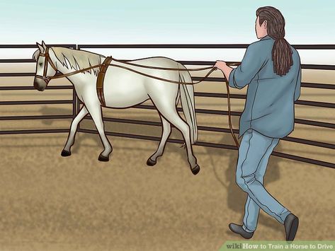 How to Train a Horse to Drive (with Pictures) - wikiHow Miniature Horse Driving, Mini Horse Cart, Pony Stable, Horse Land, Horse Driving, Driving Horses, Horse Halloween Costumes, Horse Halloween, Horse Buggy