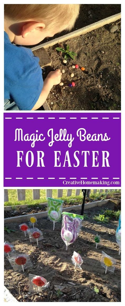 Bean Garden, Diy Jelly, Jelly Beans Easter, Easter Surprise, Easter Stuff, Celebration Ideas, Kids Projects, Easter Crafts Diy, Jelly Bean