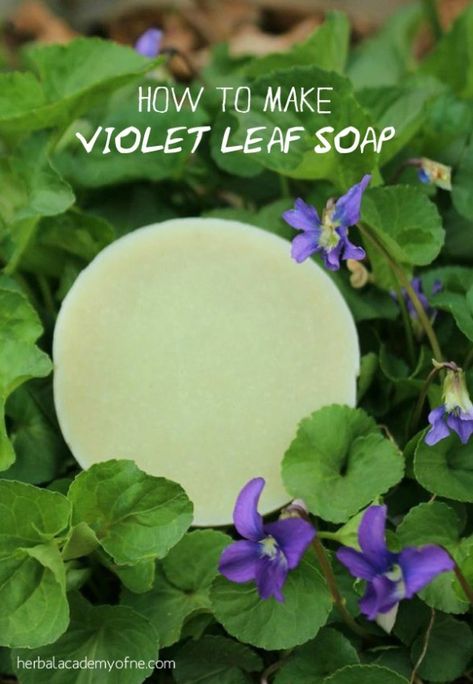 Violet Leaf Soap Recipe – Herbal Academy Natural Soap Making Recipes, Violet Recipes, Savon Diy, Herbal Academy, Soap Making Recipes, Herbal Recipes, Soap Recipe, Soap Making Supplies, Homemade Soap Recipes