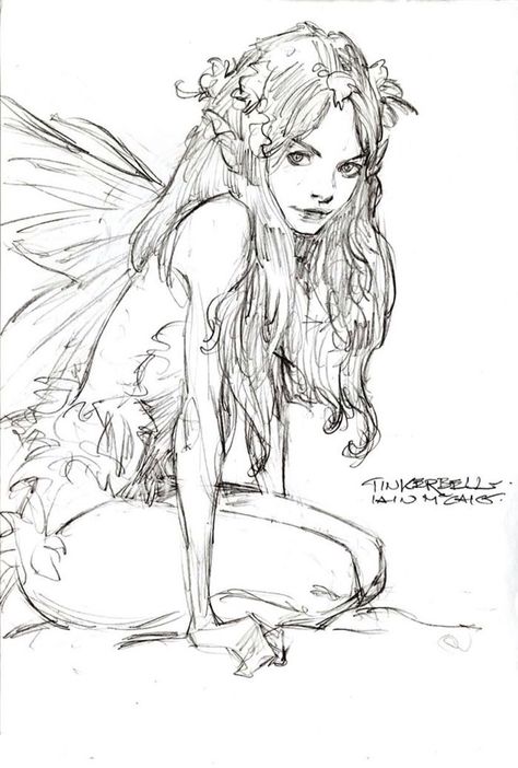 Fairy... Iain Mccaig, Fairy Drawings, Fairy Crafts, 캐릭터 드로잉, Art Characters, Arte Fantasy, Art And Illustration, Fairy Art, A Pencil