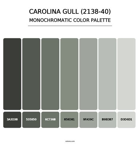 Carolina Gull (2138-40) - Monochromatic Color Palette Carolina Gull Coordinating Colors, Carolina Gull Benjamin Moore, Monochromatic Pallet, Benjamin Moore Carolina Gull, Carolina Gull, Monochromatic Colour Scheme, Monochromatic Scheme, Draw A Hexagon, Monochromatic Colors