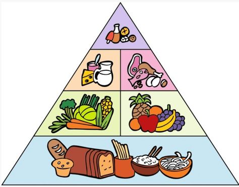 Food Pyramid Kids, Food Icon Png, Morning Workout Motivation, High Sugar Foods, Healthy Eating Guide, Food Pyramid, Diy Projects For Kids, Workout Motivation Women, Company Meals