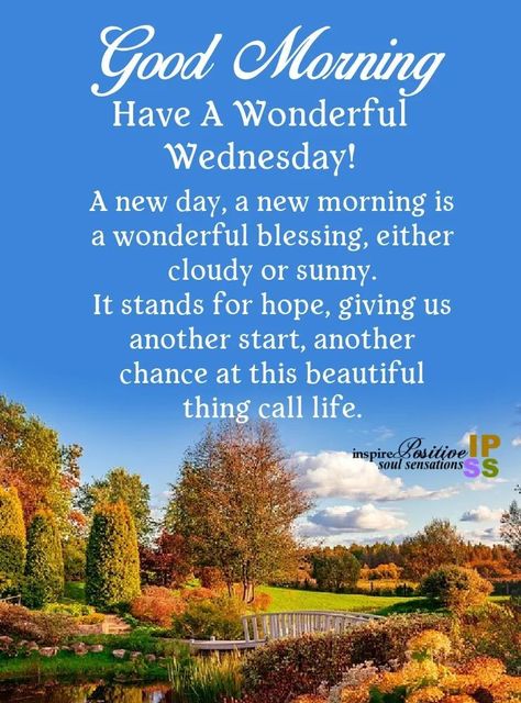 Wednesday Morning Greetings, Daily Morning Prayer, Wednesday Morning Quotes, Good Morning Animals, Good Wednesday, Good Morning Wednesday, Good Morning Greeting Cards, Happy Wednesday Quotes, Wednesday Quotes