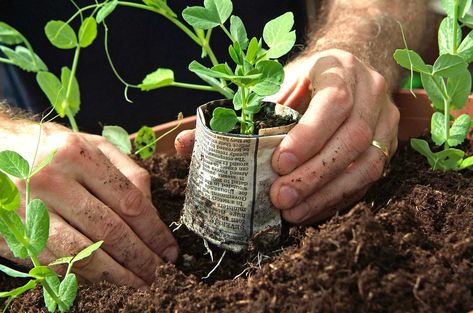 How to make paper plant pots Diy Paper Snowflakes Pattern, Paper Plant Pots, Paper Pot, Paper Plants, Jar Lanterns, Garden Lanterns, Wine Bottle Diy Crafts, School Garden, Making Paper