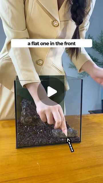 Fishtopia on Instagram: "🐠 Building a MODERN themed fish tank 🐠" Themed Fish Tank, Modern Fish Tank, Fish Tank Themes Ideas, Fish Tank Themes, Fish Tank, Fish, Building, Instagram