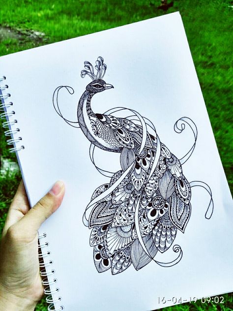 Doodle Art Peacock, Peacock Mandala Drawing, Peacock Ink Drawing, Mandala Drawing Animal, Peacock Zentangle Art, Peacock Doodle Art, Peacock Mandala Tattoo, Peacock Drawing Mandala, Mandala Art Animals