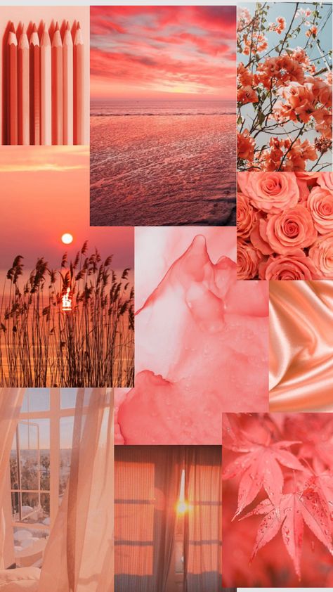 Coral Color Aesthetic, Pink Collages, Coral Aesthetic, Colour Wallpaper, Cut Flower Farm, Girl Scout Camping, Peach Colour, Picture Collage, Fall Wallpaper