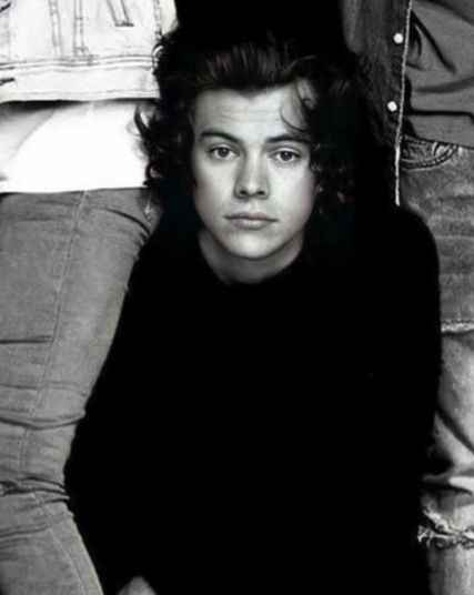 Please DM me for credit! ♡ Prince Harry Styles, Frat Boy Harry Styles, Prince Hair Harry, Frat Boy Harry, Prince Hair, Harry Styles One Direction, Harry Styles Cute, Frat Boy, Harry Styles Photos