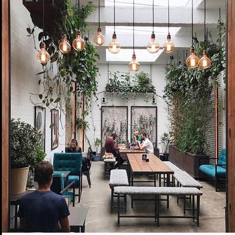 greenery and industrial lights is an interesting mix to make the a creative environment Interior Ikea, Coffee House Design, Decoration Restaurant, Shop Sign Design, Interior Vintage, Decor Ikea, Coffee Shops Interior, Sunny Sunday, Shop House Ideas