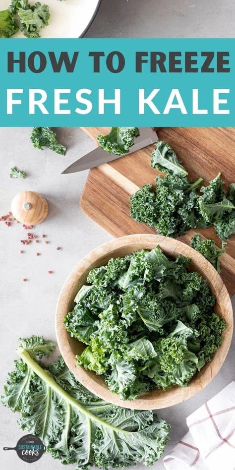 How To Freeze Kale, Money Learning, Vegetarian Breakfast Casserole, Harvesting Kale, Frozen Smoothie Packs, Freezing Kale, Freezer Cooking Recipes, How To Cook Kale, Cooking Meals