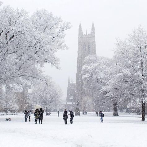 Duke University on Instagram: “When we awoke on campus this time last year ❄😍☃️ . 📸 Thomas Barlow . #PictureDuke #DukeSnowDay #DukeStudents #DukeChapel” Duke Aesthetic, Duke Campus, Duke University Aesthetic Wallpaper, Duke University Aesthetic, Duke College Aesthetic, Snowy University, Duke University Campus, Duke University Sweatshirt, Duke College