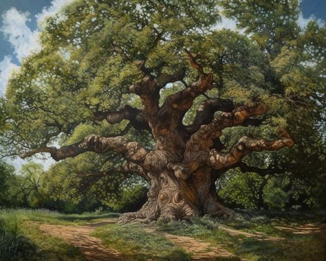 Giant Tree Drawing, Oak Tree Aesthetic, Oak Tree Illustration, Oak Tree Painting, Big Oak Tree, Large Oak Tree, English Oak Tree, Dnd Locations, Majestic Tree