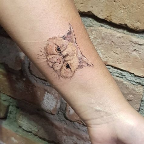 Small Animal Tattoos, Animal Tattoos For Women, Awesome Tattoo, Cat Tattoo Designs, Exotic Cats, Badass Tattoos, Great Tattoos, Persian Cat, Mini Tattoos