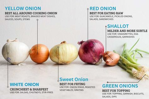 Raw Onion, Types Of Onions, Smoked Salmon Bagel, Cooking Onions, Butternut Squash Risotto, Appetizer Salads, Stir Fries, Salad Dressing Recipes, Spring Onion