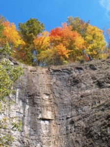 Cape Charles Virginia, Grayson Highlands, Horseback Riding Trails, Shenandoah River, Gate City, Scott County, Smith Mountain Lake, Norfolk Virginia, The Gorge