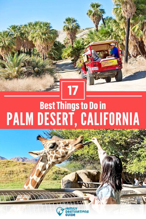 Things To Do In Palm Desert California, Rancho Mirage California Things To Do, What To Do In Palm Springs Ca, Palm Dessert, Palm Dessert Things To Do, Things To Do In Southern California, Palm Desert Restaurants, Rancho Mirage California, Palm Desert California