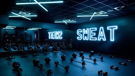 Gymshark’s world-class work(out) space offers a refreshing take on wellbeing - News - Frameweb Gym Lighting, Gym Design Interior, Indoor Gym, Gym Interior, Bar Workout, Fitness Facilities, Home Gym Design, Boxing Gym, Gym Room