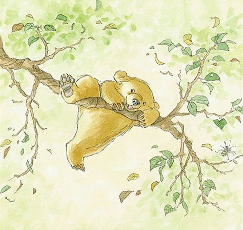 Bear Drawing, 강아지 그림, Bear Illustration, Little Bear, Bear Art, Childrens Illustrations, Children's Book Illustration, A Drawing, The Rose